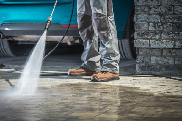 Best Rust Removal  in Ovid, MI