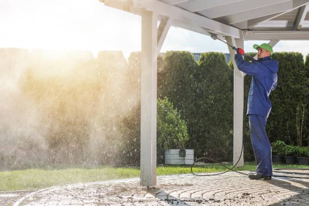 Best Boat and Dock Cleaning  in Ovid, MI