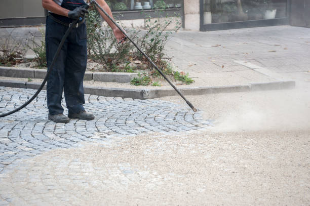 Best Warehouse Cleaning  in Ovid, MI