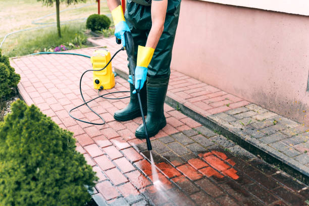 Best Fence Cleaning  in Ovid, MI