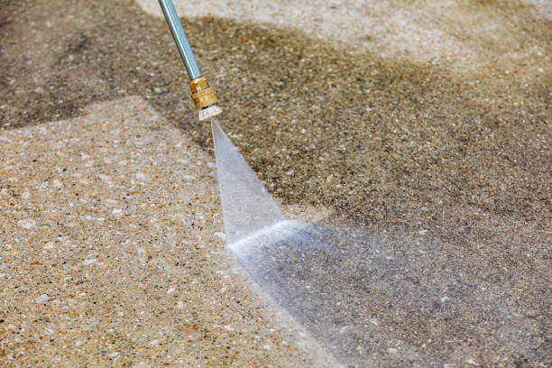Best Spring Cleaning  in Ovid, MI