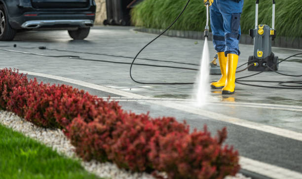 Best Restaurant Pressure Washing  in Ovid, MI